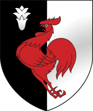 Герб: Бостынь
